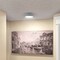 Access Lighting Radiant, Dual Voltage LED Flush Mount, Gray Finish, Acrylic Lens Acrylic 50941LEDD-GRY/ACR - alternate 4
